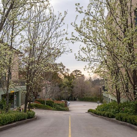 Leisure Inn Spires Leura Exterior foto